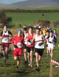 cross 1
