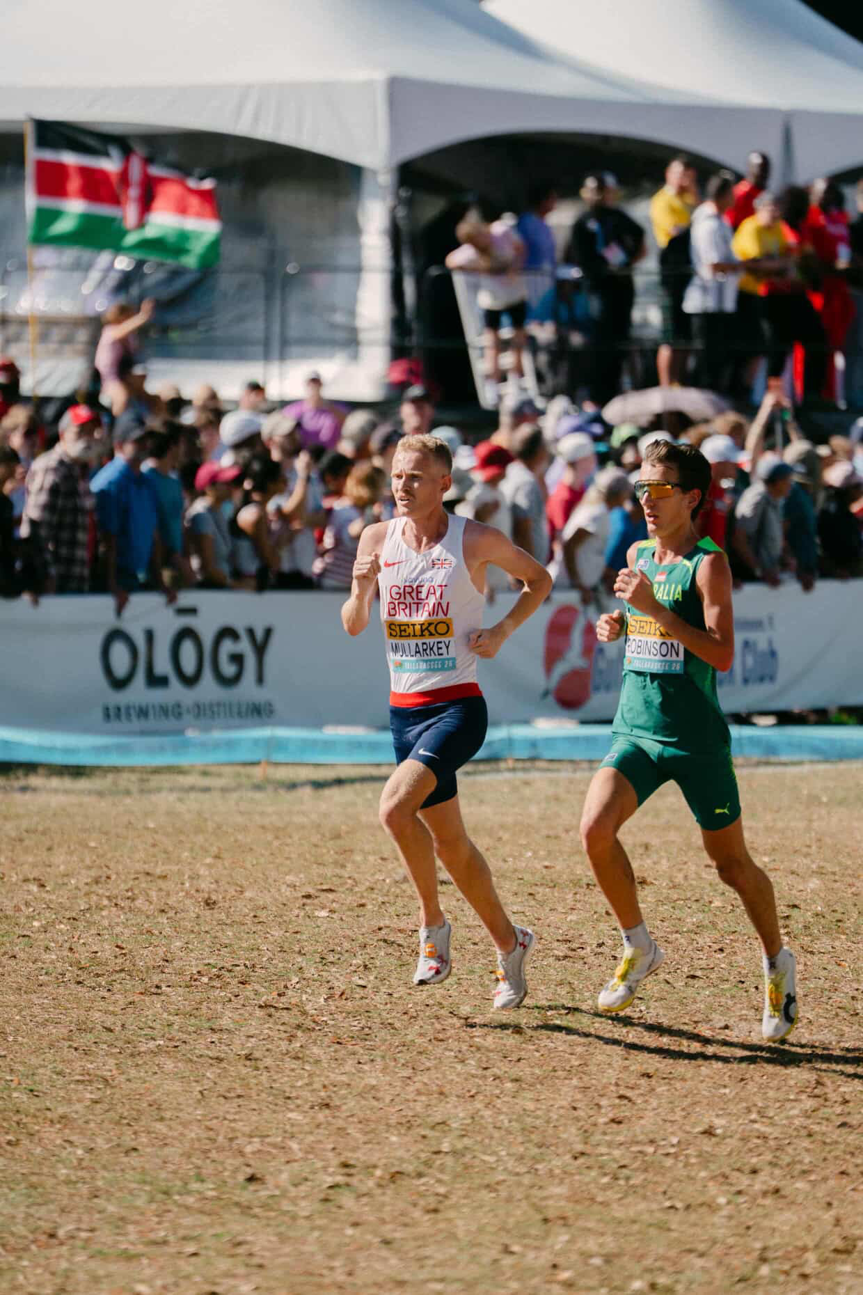 8203533C-2874-4814-9926-8D465EA2EEF9